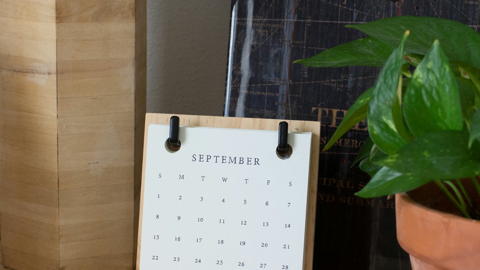 Calendário de mesa ao lado de uma planta